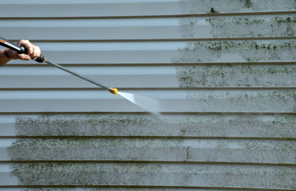 Trusted Redway, CA Pressure washing Experts